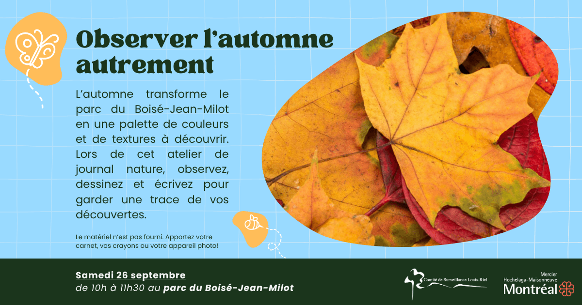 Image de l'article Observer l’automne autrement