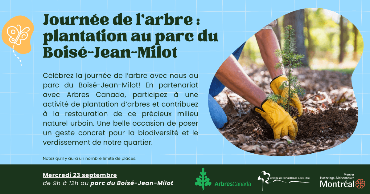 Image de l'article Journée de l’arbre : Plantation au Boisé-Jean-Milot