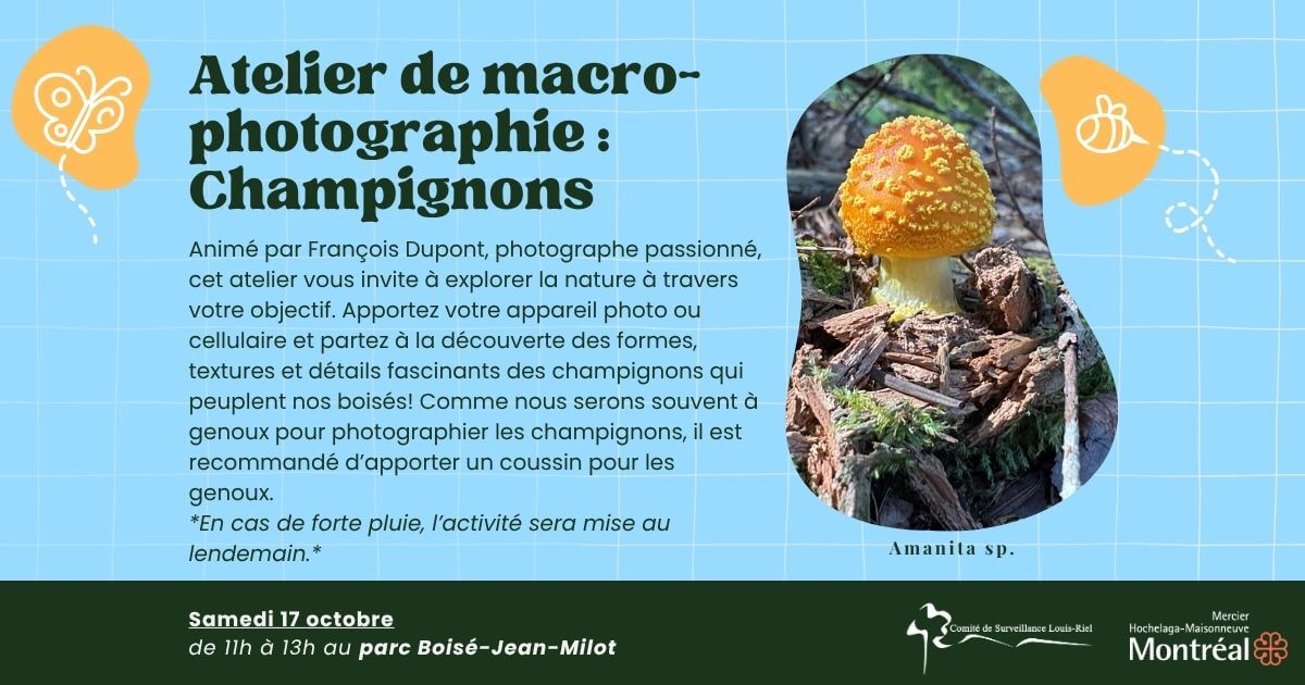 Image de l'article Champignons : Atelier de macrophotographie