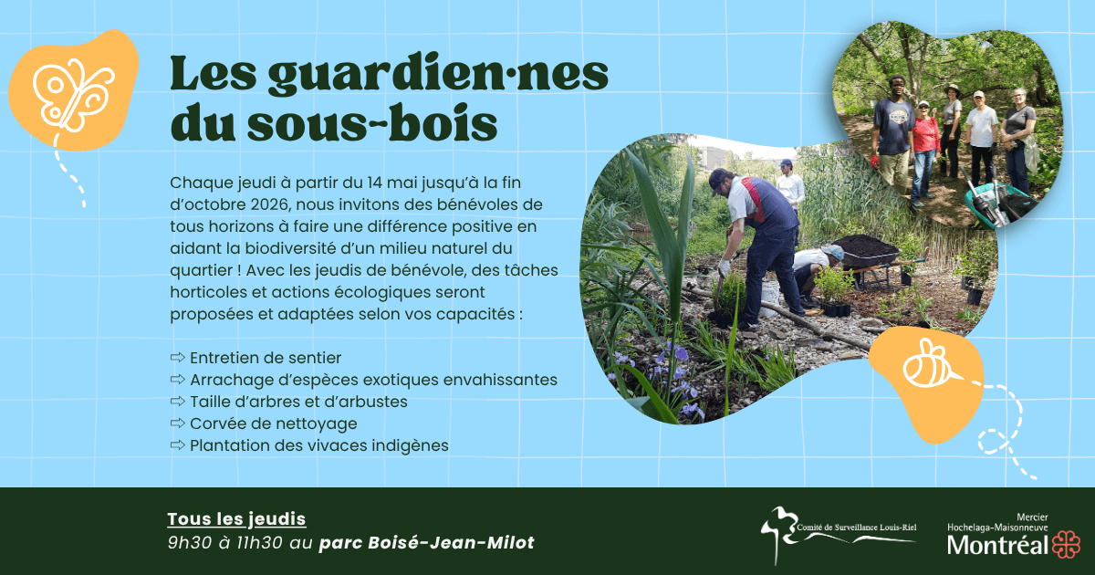 Image de l'article Les Gardien•nes du Sous-bois