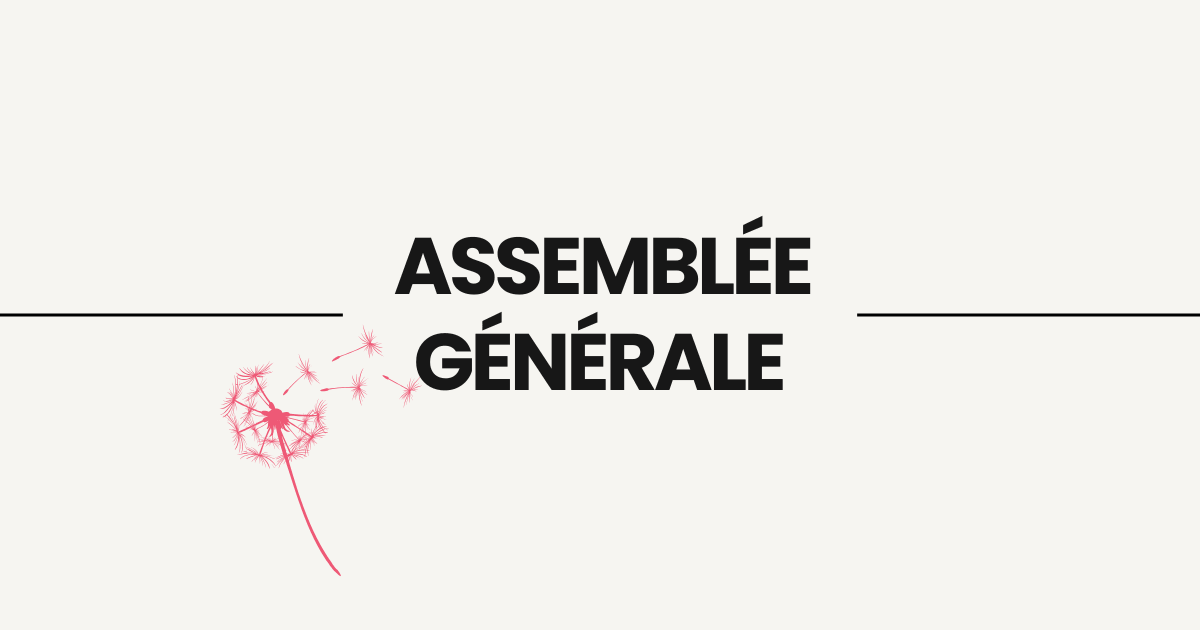 Image de l'article Assemblée générale de Projet inclusion