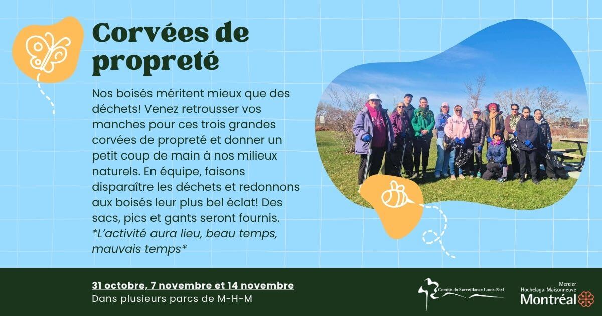 Image de l'article Corvées de propreté