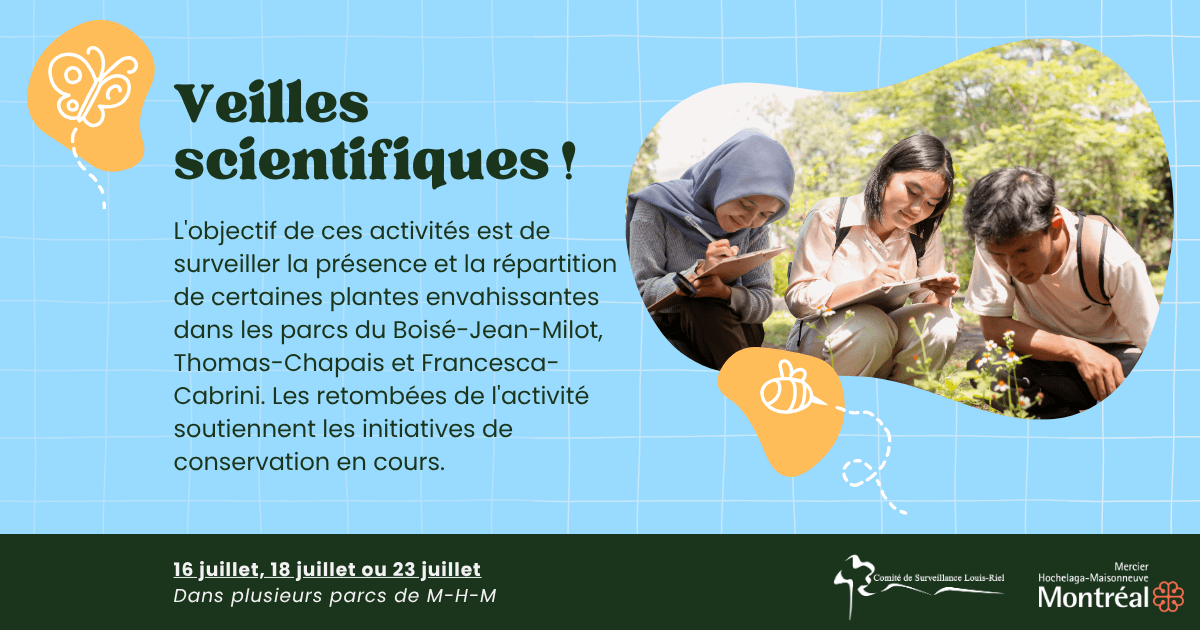 Image de l'article Veilles Scientifiques
