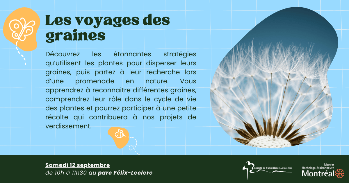 Image de l'article Les Voyages des Graines