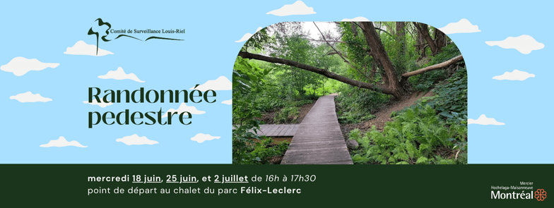 Image de l'article Randonnée pédestre au parc Felix-Leclerc et autour