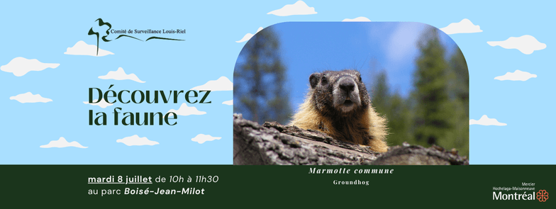 Image de l'article Décourvrez la faune – âges 0-6 ans