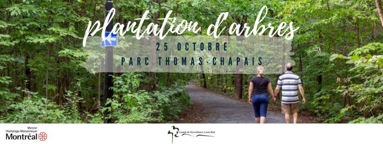Image de l'article đ± Plantation dâarbres au parc Thomas-Chapais