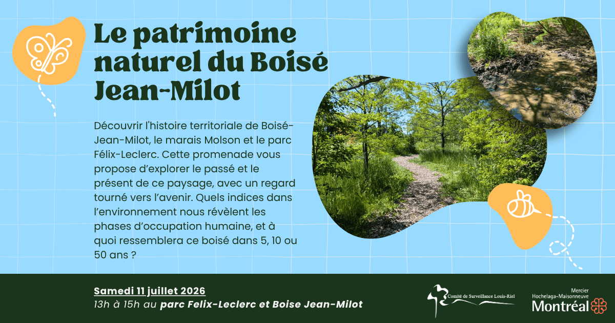 Image de l'article 🌳 Le patrimoine naturel du Boisé-Jean-Milot