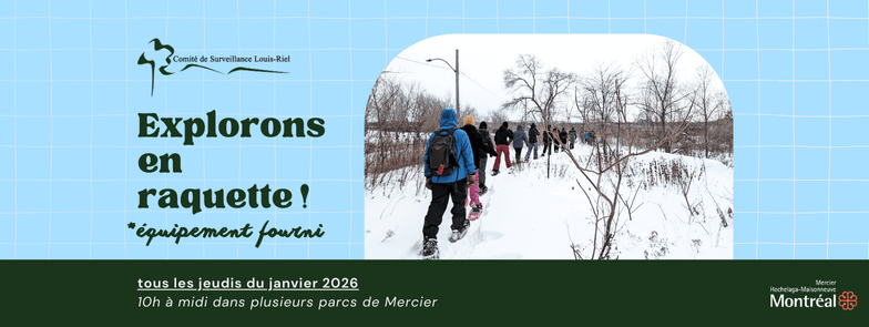 Image de l'article Explorons en raquette! Un parc différent chaque semaine!