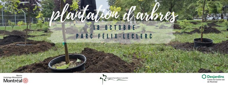 Image de l'article đ± Plantation dâarbres au parc FĂ©lix-Leclerc
