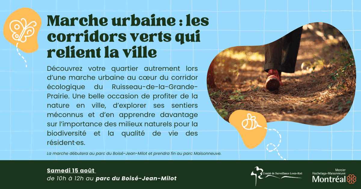 Image de l'article Marche urbaine : Les corridors verts qui relient la ville