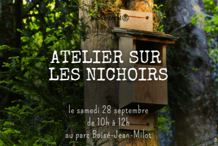 Image de l'article Atelier sur les nichoirs