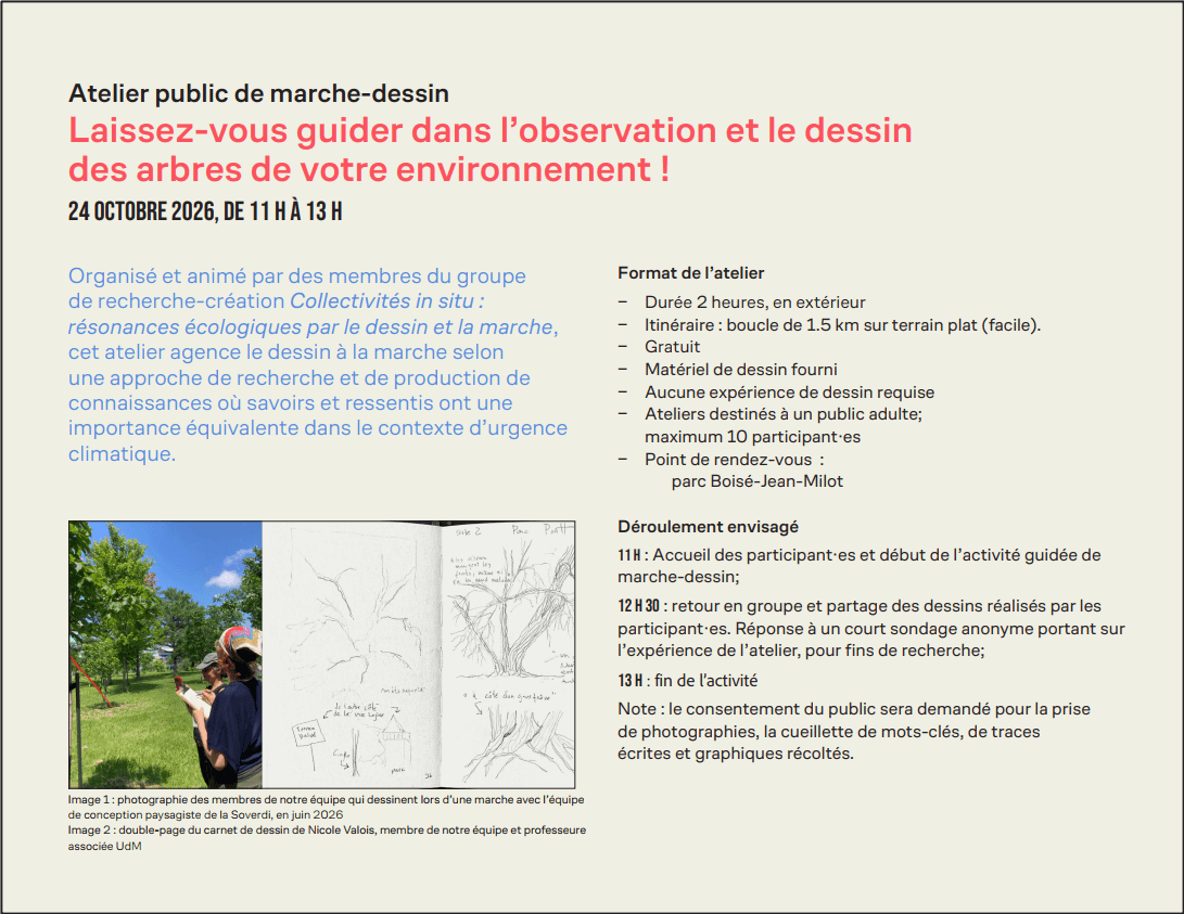 Image de l'article Atelier public de marche-dessin — Laissez-vous guider dans l’observation et le dessin des arbres de votre environnement !
