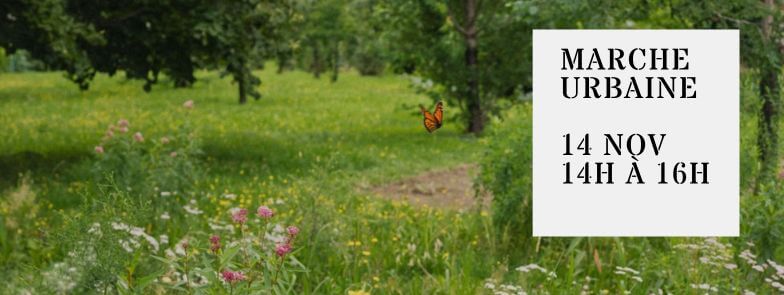 Image de l'article đ¶ââïž Marche urbaine : du parc BoisĂ©-Jean-Milot au parc Maisonneuve