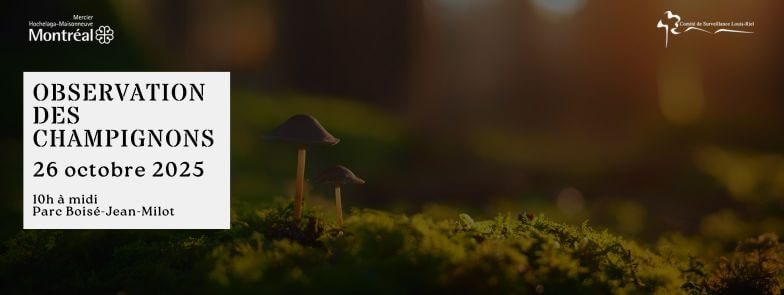 Image de l'article đObservation des champignonsđ