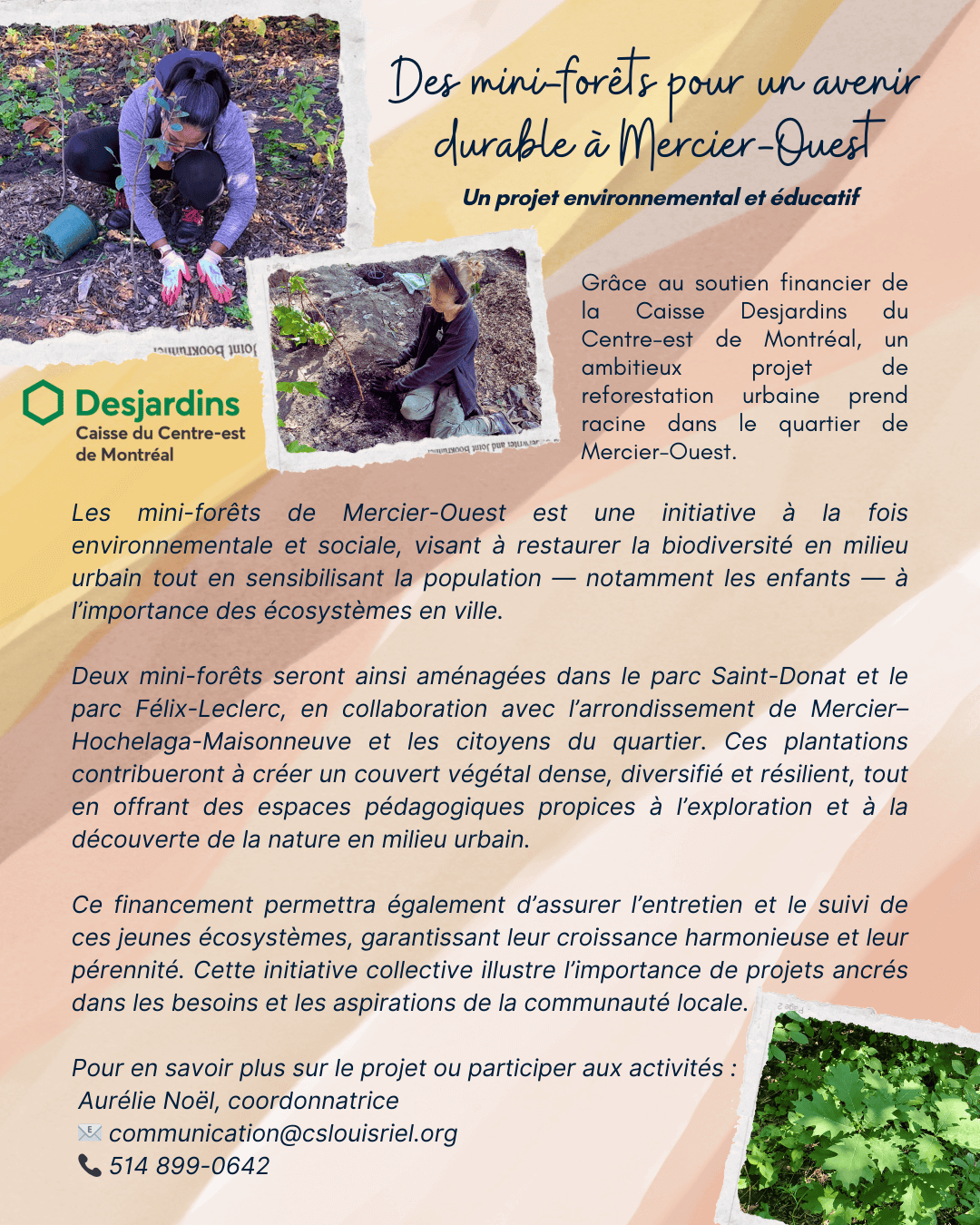 Image de l'article Des mini-forêts pour un avenir durable à Mercier-Ouest