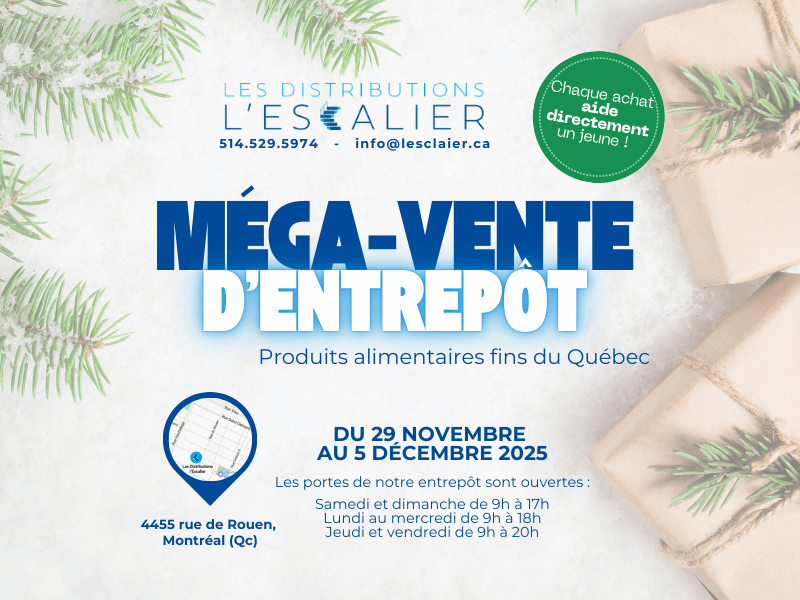 Image de l'article MEGA-VENTE 2025