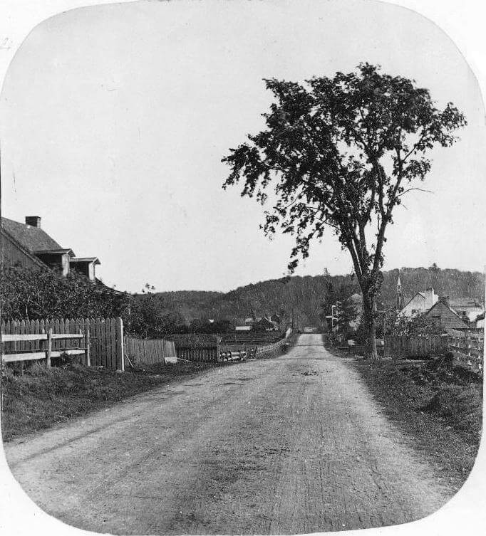 Image de l'article Côte-des-Neiges
