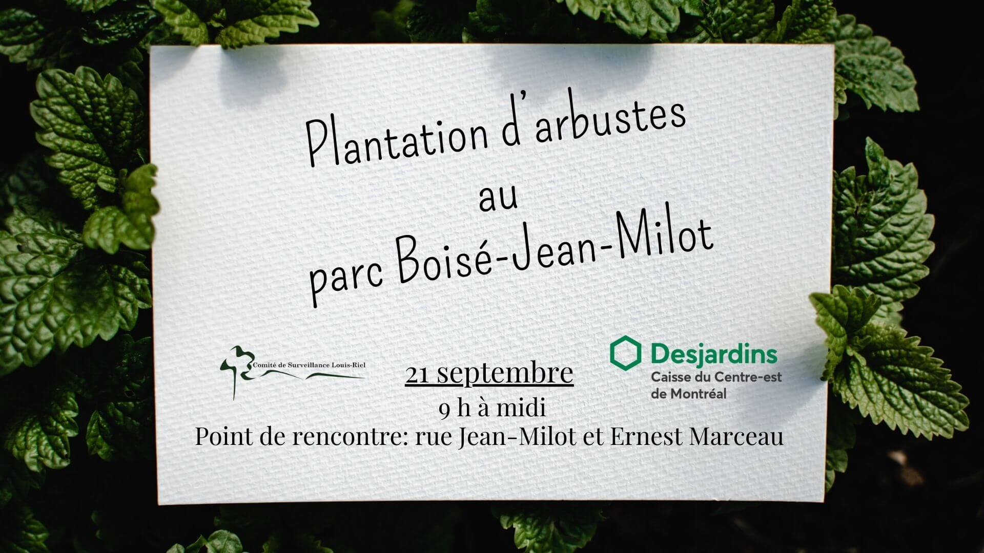 Image de l'article Plantation d’arbustes au parc Boisé-Jean-Milot