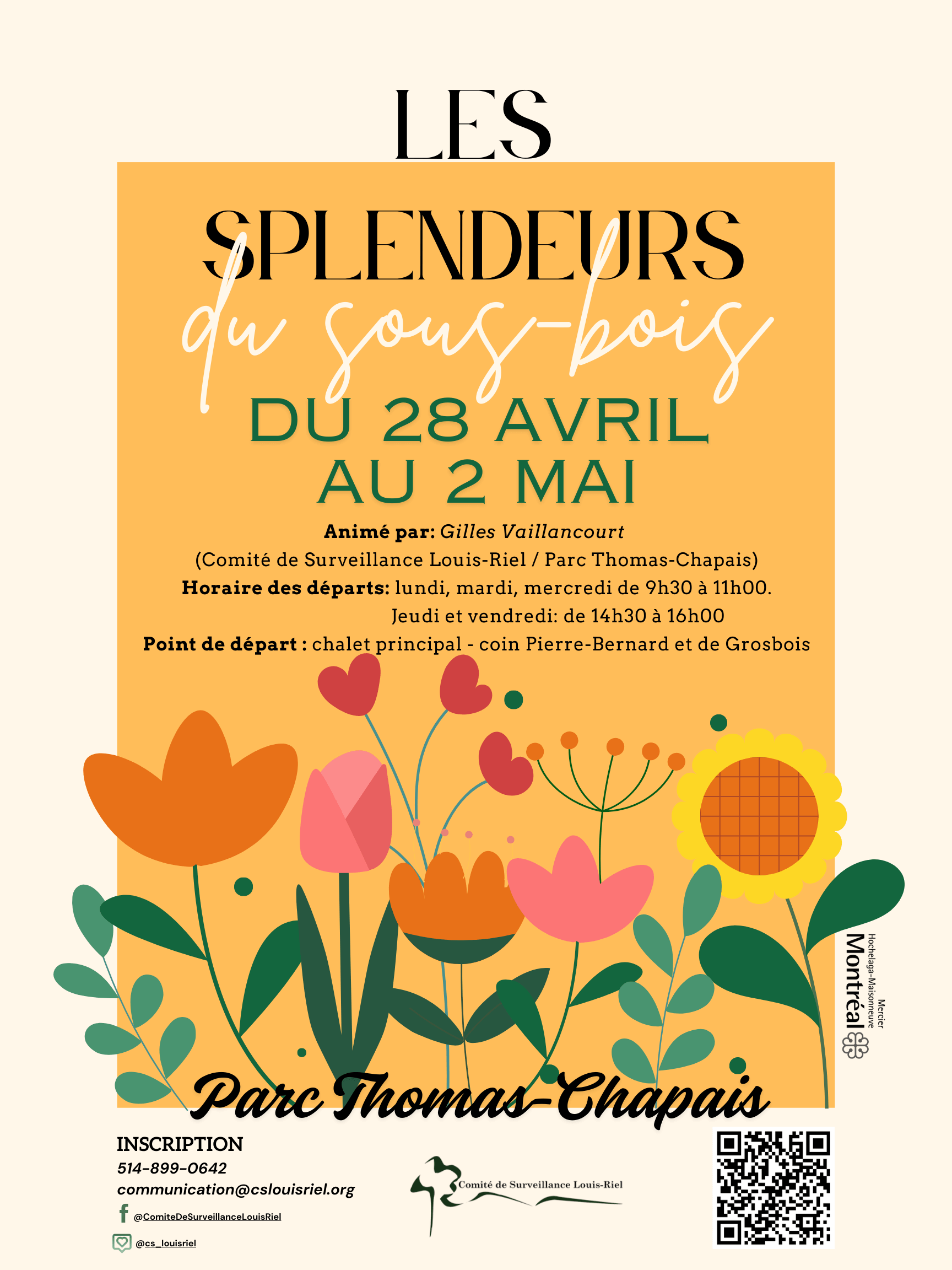 Image de l'article Les splendeurs du sous-bois au parc Thomas-Chapais