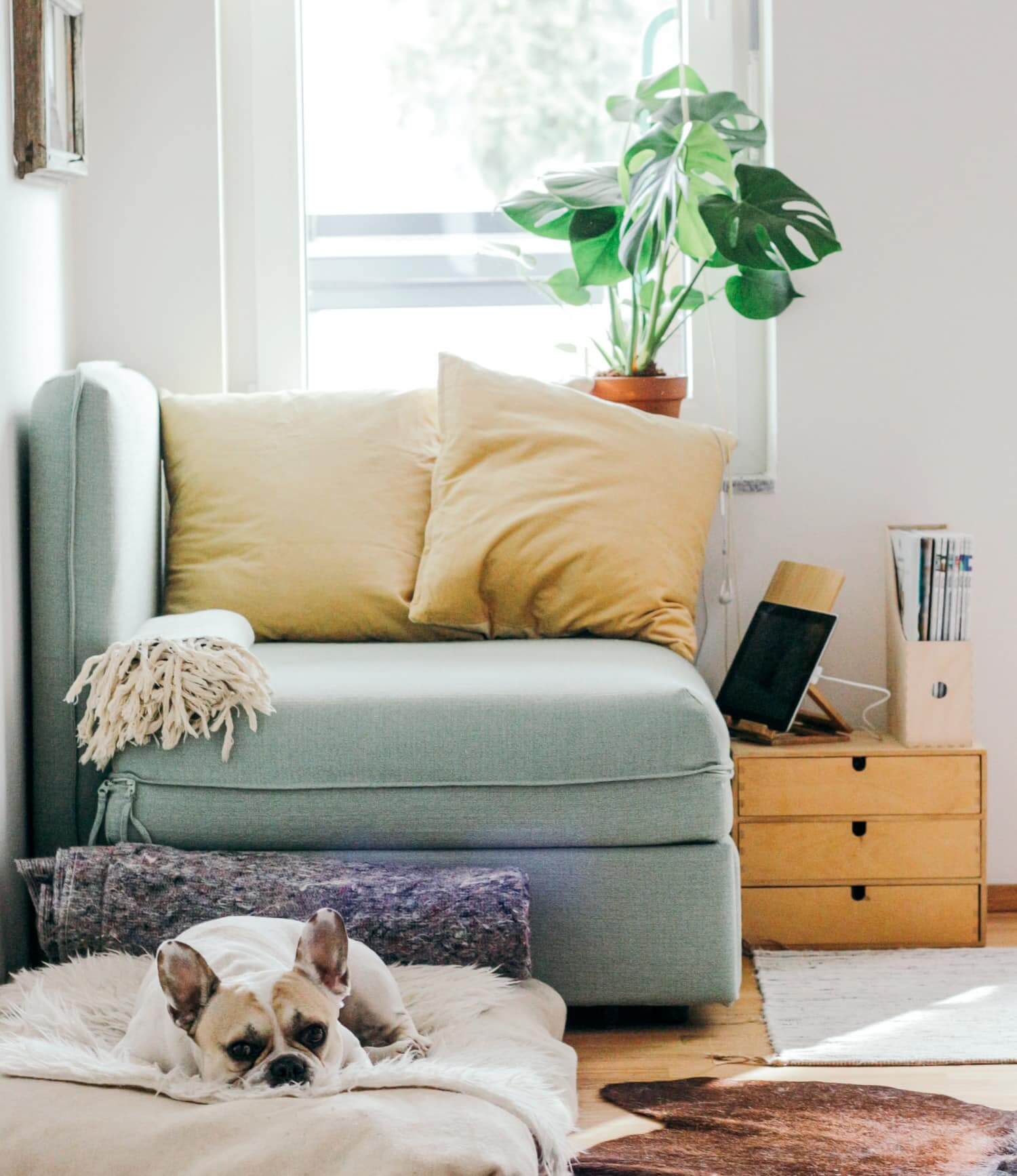 Image de l'article Quels sont les biens insaisissables et saisissables lors d’une faillite personnelle?