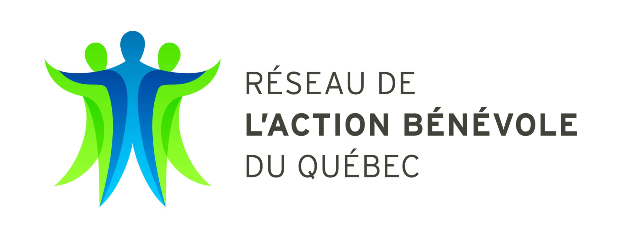 Logo de Réseau de l’Action Bénévole du Québec