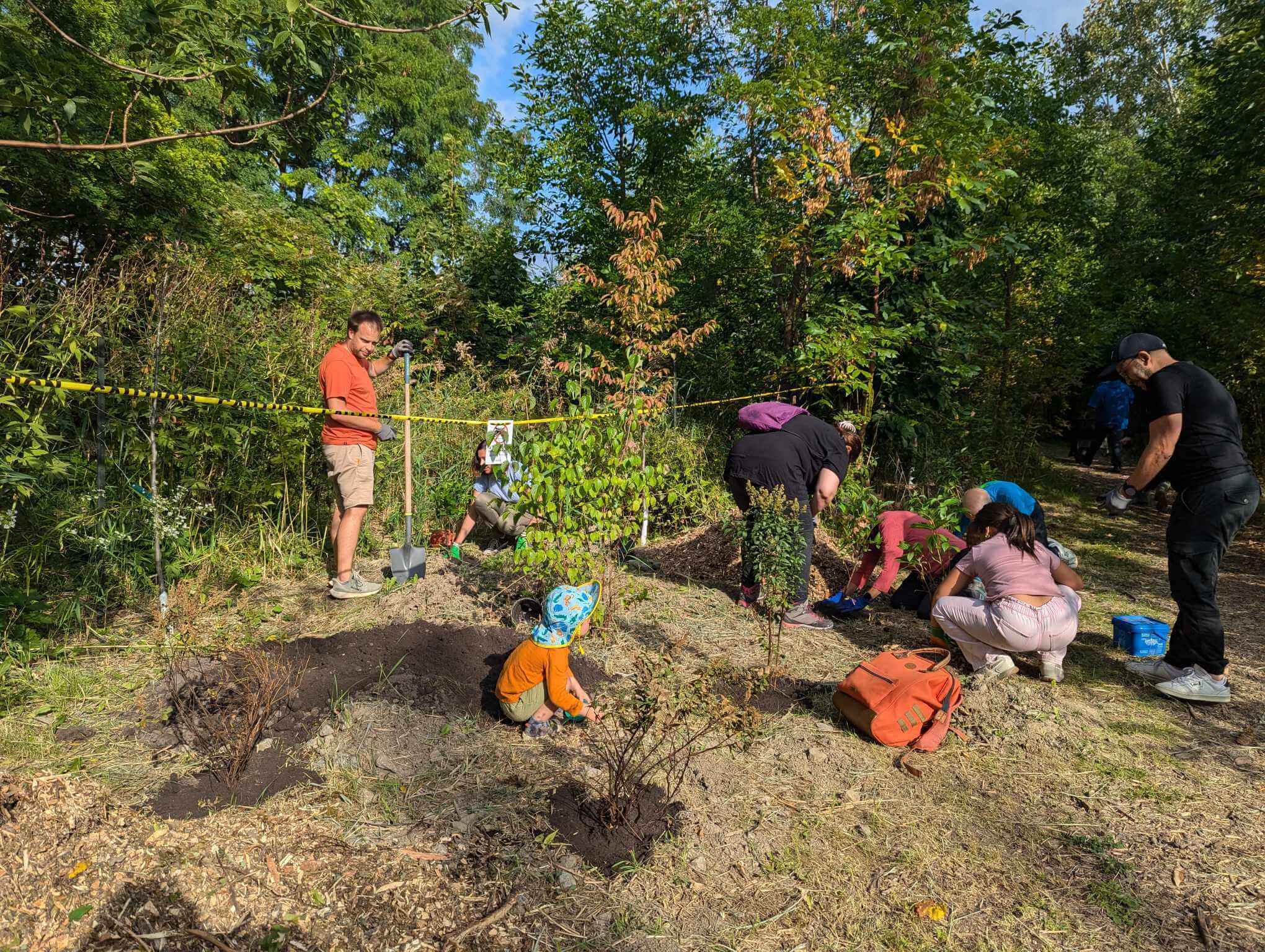 Image de l'article Une action communautaire pour la nature au parc Boisé-Jean-Milot