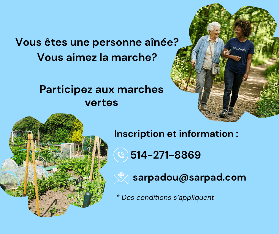 Image de l'article Les marches vertes