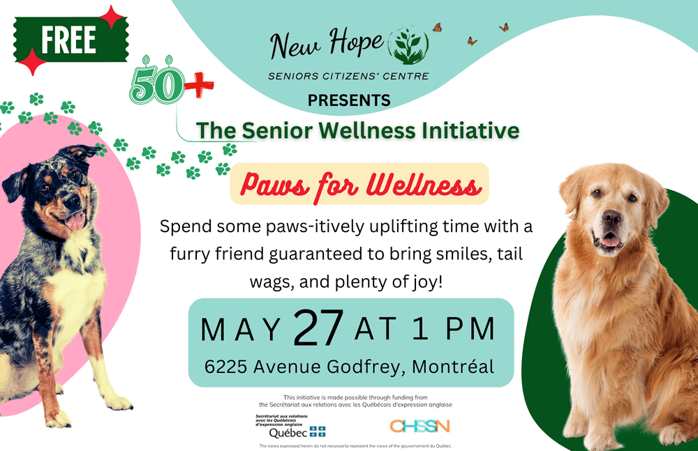 Image de l'article Paws for Wellness – Therapy Dog Visit