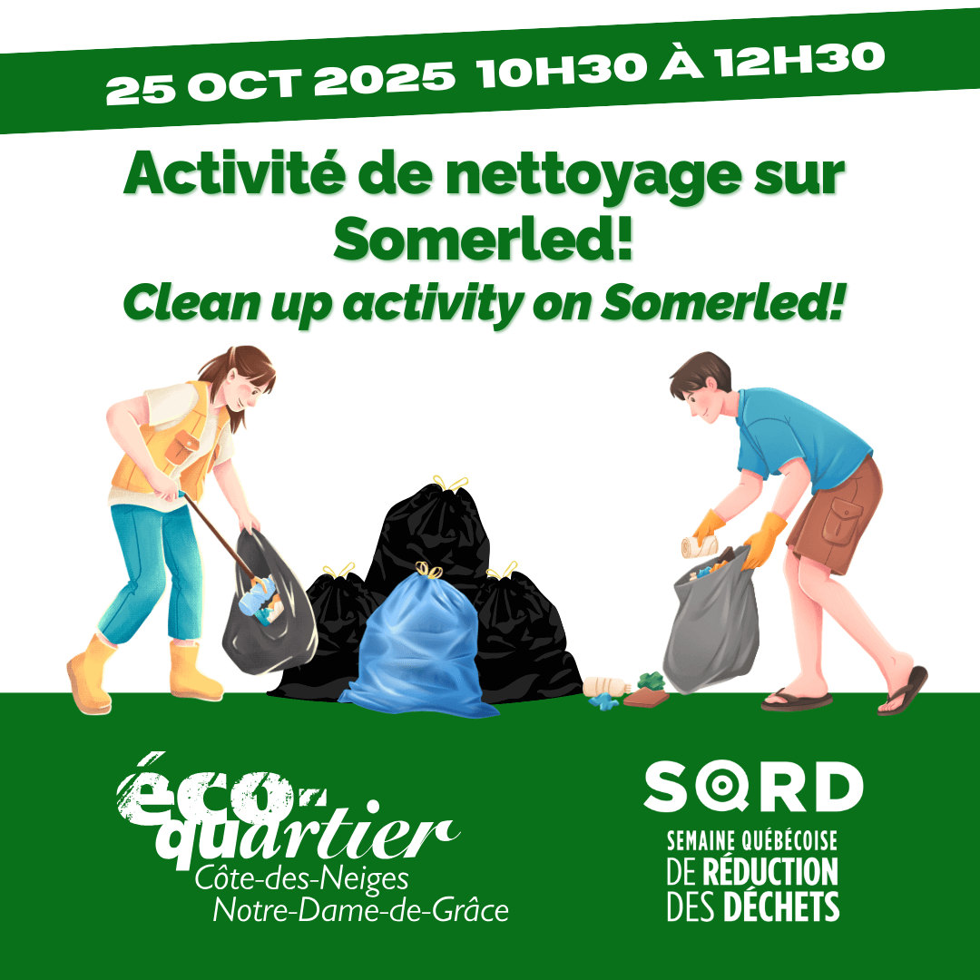 Image de l'article Activité de nettoyage sur Somerled dans le cadre de la Semaine québécoise de réduction des déchets! / Clean up activity on Somerled during the Semaine québécoise de réduction des déchets!