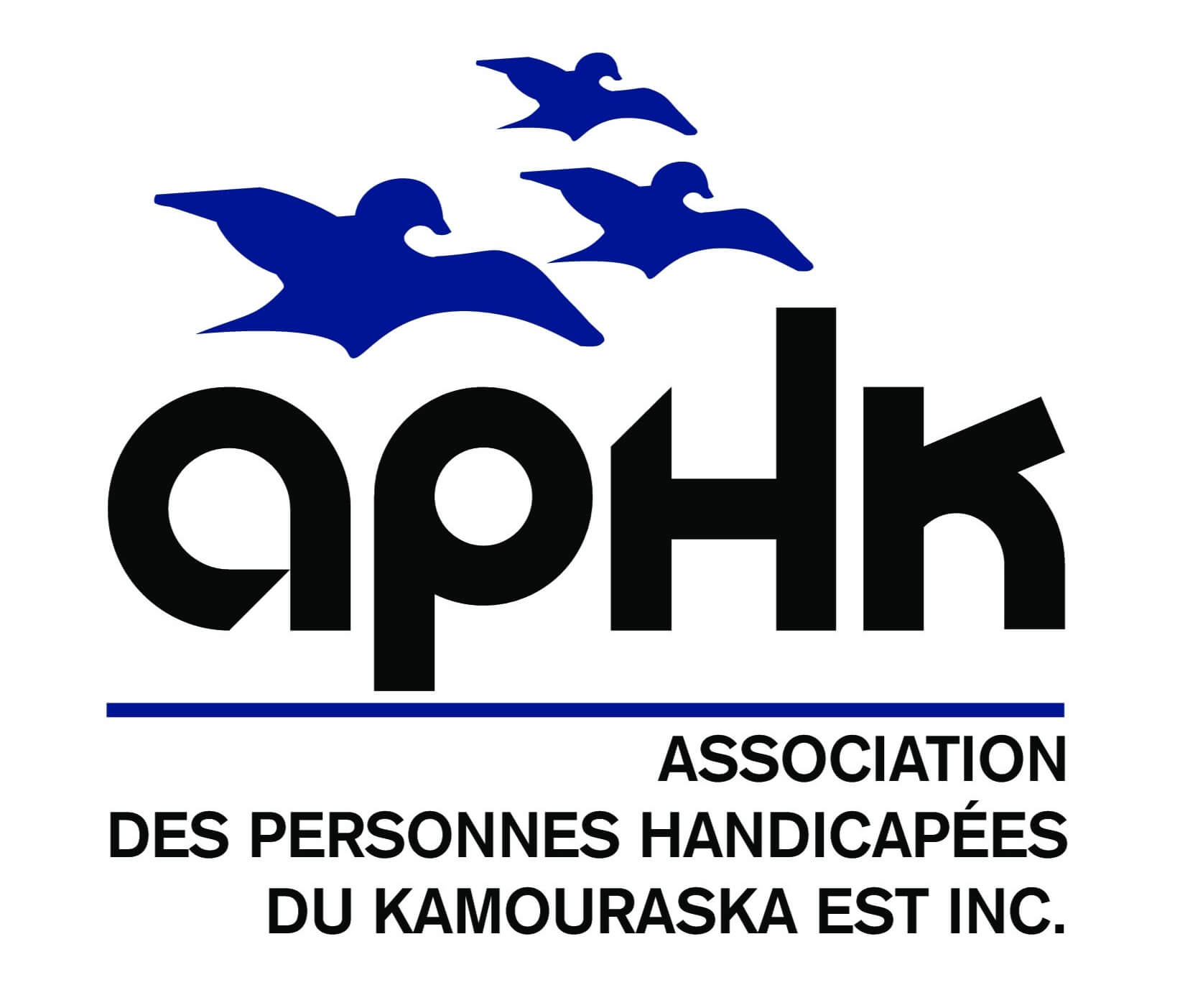 Logo de Association des Personnes Handicapées du Kamouraska Est