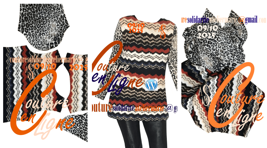 Image de l'article Stage de couture Femme en webinaire :  Pull Col Bateau ; Réunion infos gratuite