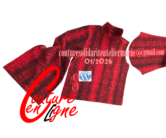 Image de l'article Stage de couture Femme en webinaire :  Pull Molleton Stretch Col Montant 01/2026- Séance infos gratuite