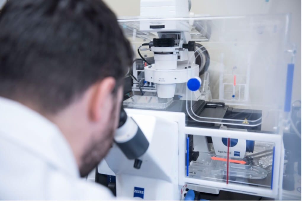 Image de l'article Nouvelle avancée scientifique dans la détection de la mérule pleureuse!