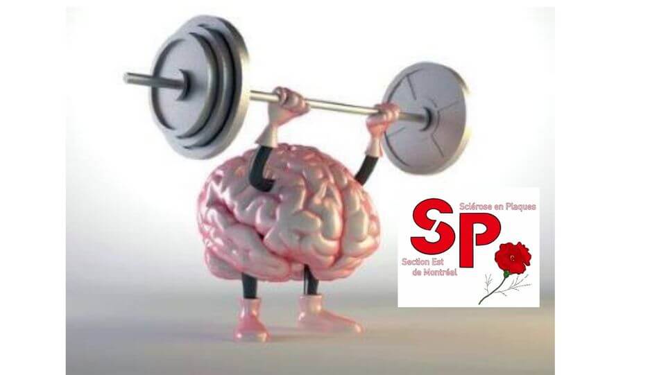 Image de l'article Brain Gym virtuel