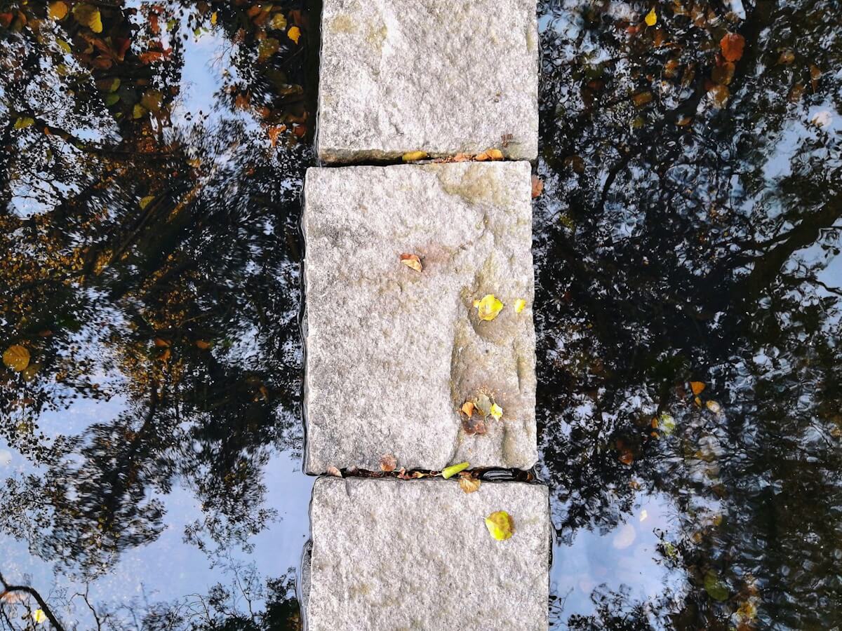 Image de l'article Séminaire: Le paternalisme ou la bienveillance répressive : psychiatrie, expertise et rapports de genre