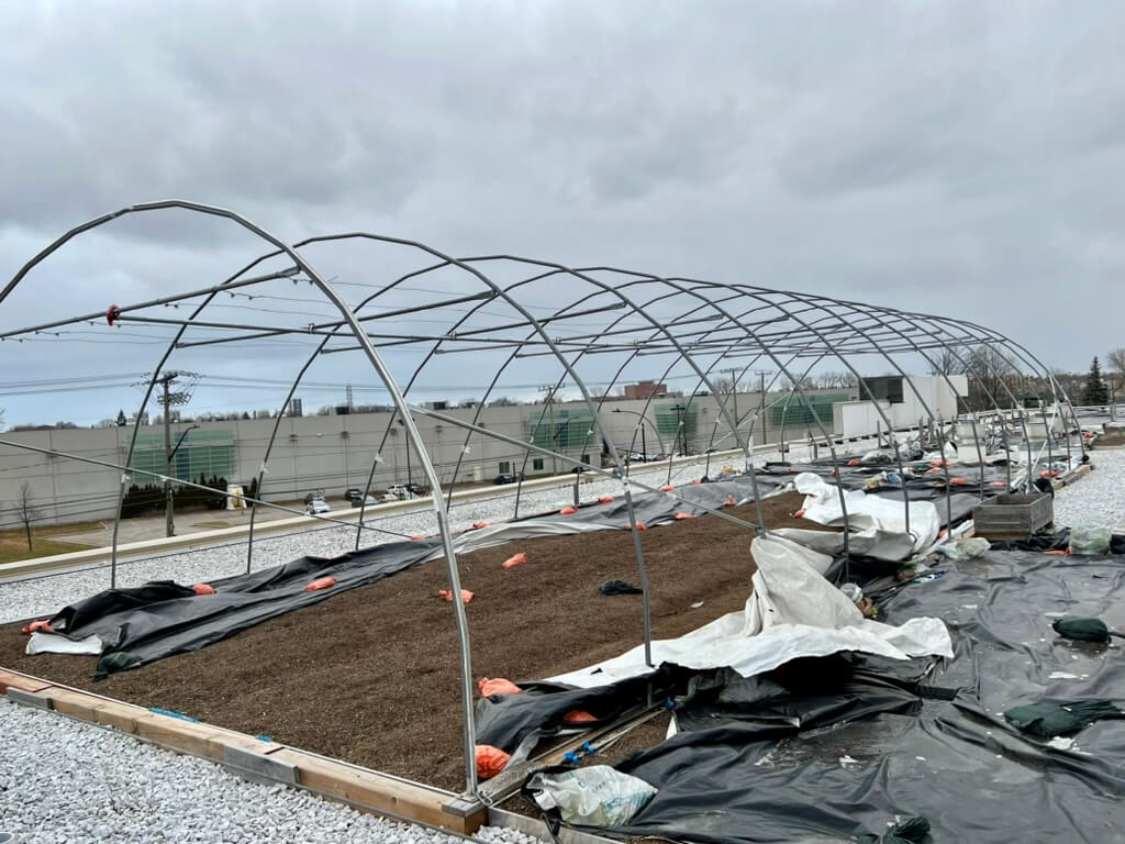 Image de l'article À VENDRE: Structure serre