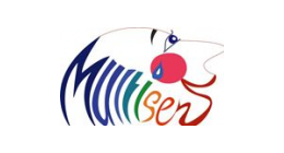 Logo de Les  Productions Multisens