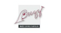 Logo de Buzz cuivres