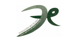 Logo de Fondation des élites de Saint-Bruno