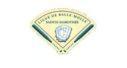 Logo de Ligue de Balle-Molle de Sainte-Dorothée