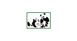 Logo de Association de parents PANDA de Vaudreuil-Soulanges