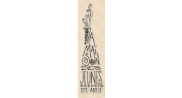 Logo de Maison des jeunes Sainte-Adèle