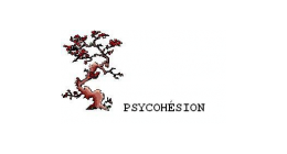 Logo de Psycohésion