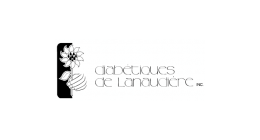 Logo de Diabétiques de Lanaudière