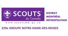Logo de 229e groupe scout Notre-Dame-des-Neiges