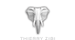 Logo de Thierry Zibi, Thérapeute