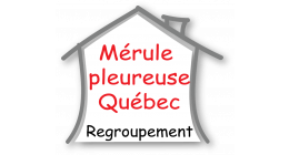 Logo de Mérule pleureuse Québec
