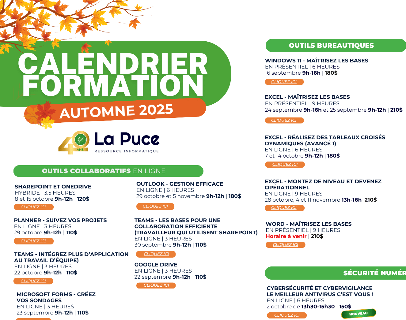 Image de l'article Préparez votre automne dès maintenant avec les nouvelles formations de La Puce ressource informatique!