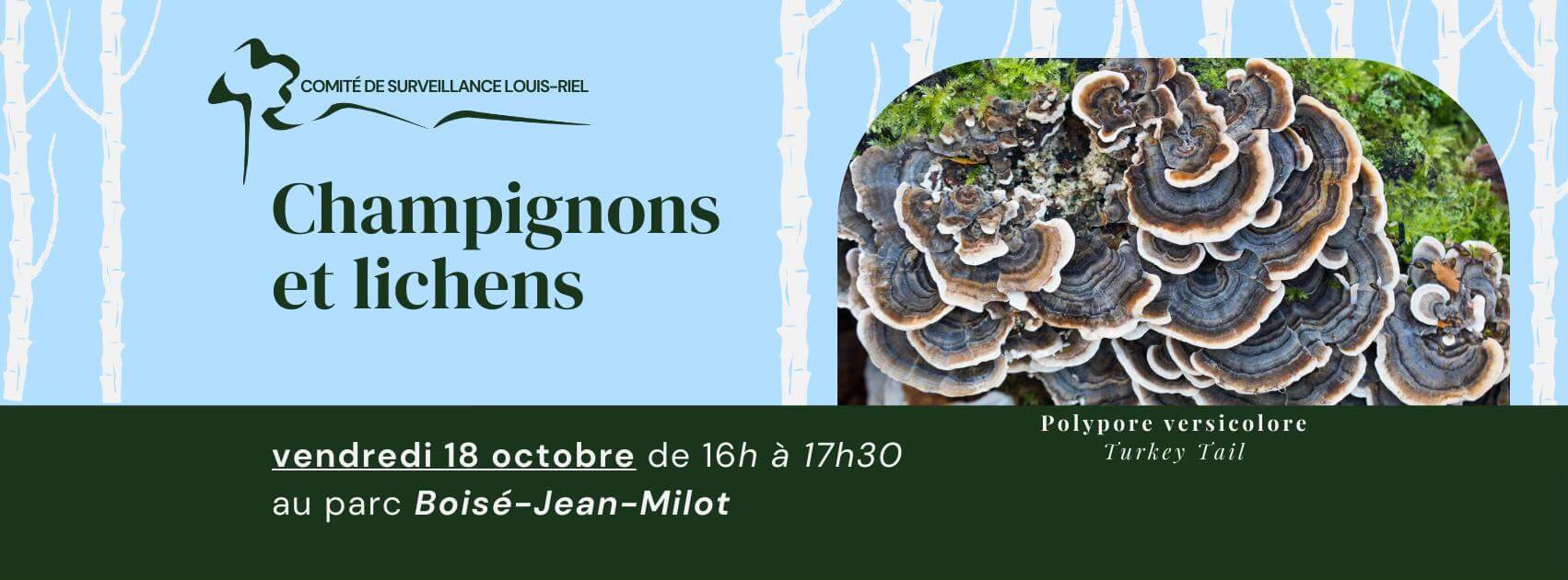 Image de l'article Champignons et lichens